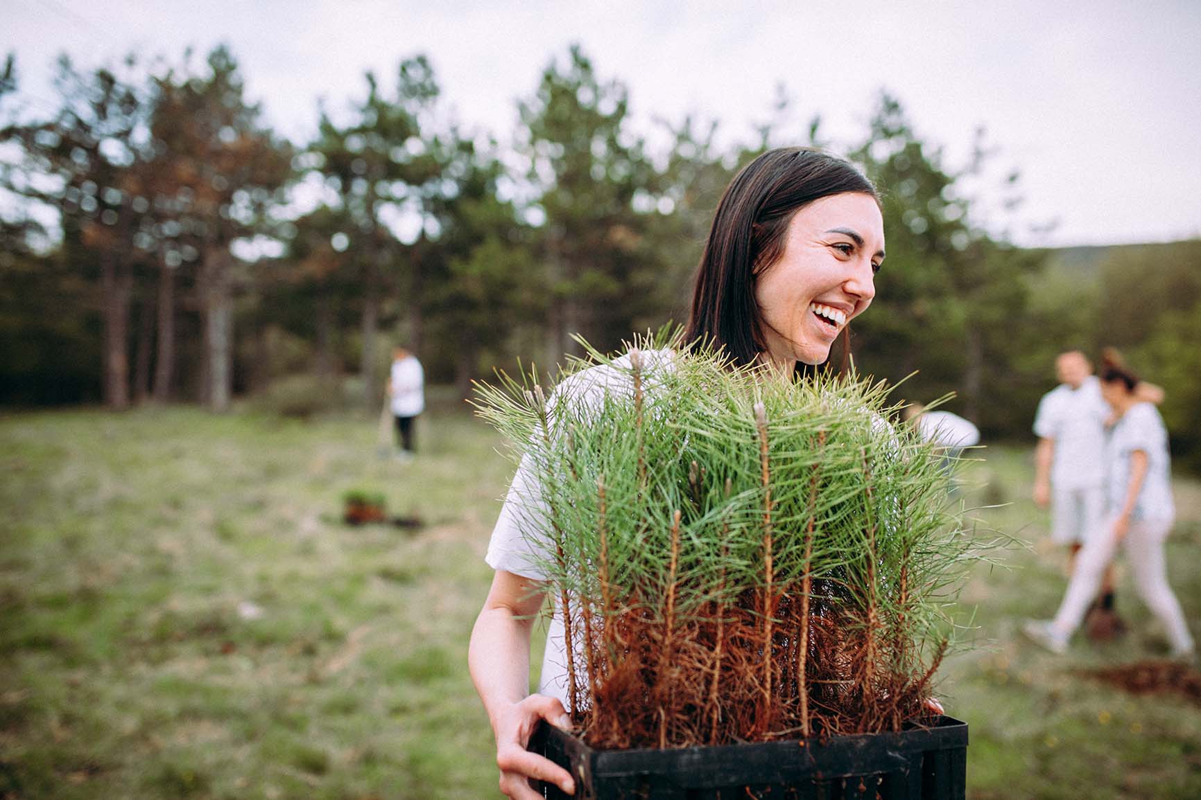 Photo of a woman planting trees.